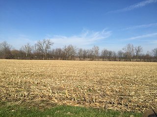 Property photo 5 - FARMLAND AUCTION - 145+/- ACRES IN 4 TRACTS FROM 3-52 ACRES IN WAYNE COUNTY